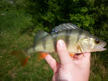 foto/diskuze/hradec_kralove_a_okoli/2011/th-img42441.jpg
