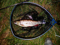 foto/diskuze/hradec_kralove_a_okoli/2011/th-img43137.jpg