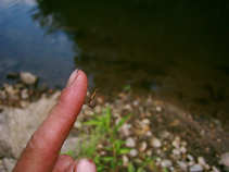 foto/diskuze/hradec_kralove_a_okoli/2011/th-img43588.jpg