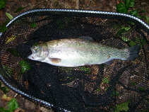 foto/diskuze/hradec_kralove_a_okoli/2011/th-img44117.jpg