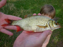 foto/diskuze/hradec_kralove_a_okoli/2011/th-img44437.jpg