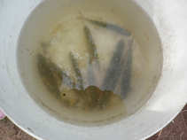 foto/diskuze/hradec_kralove_a_okoli/2011/th-img44438.jpg