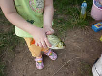 foto/diskuze/hradec_kralove_a_okoli/2011/th-img44441.jpg