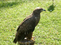 foto/diskuze/hradec_kralove_a_okoli/2011/th-img44973.jpg