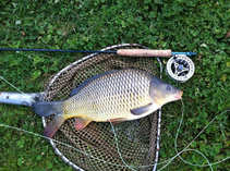 foto/diskuze/hradec_kralove_a_okoli/2011/th-img45704.jpg
