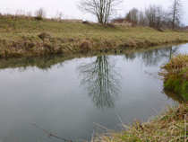 foto/diskuze/hradec_kralove_a_okoli/2011/th-img46542.jpg