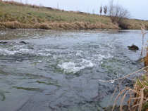 foto/diskuze/hradec_kralove_a_okoli/2011/th-img46543.jpg