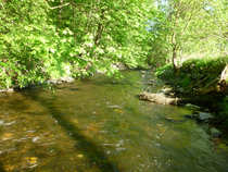 foto/diskuze/hradec_kralove_a_okoli/2012/th-img48928.jpg