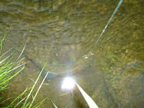 foto/diskuze/hradec_kralove_a_okoli/2012/th-img48930.jpg