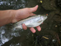 foto/diskuze/hradec_kralove_a_okoli/2012/th-img49001.jpg