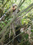 foto/diskuze/hradec_kralove_a_okoli/2012/th-img49002.jpg