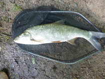 foto/diskuze/hradec_kralove_a_okoli/2012/th-img49027.jpg