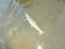 foto/diskuze/hradec_kralove_a_okoli/2012/th-img49971.jpg
