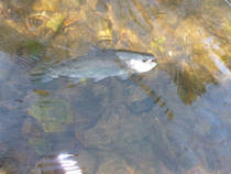 foto/diskuze/hradec_kralove_a_okoli/2012/th-img52969.jpg