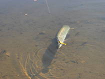 foto/diskuze/hradec_kralove_a_okoli/2012/th-img52976.jpg