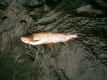 foto/diskuze/hradec_kralove_a_okoli/2012/th-img53007.jpg