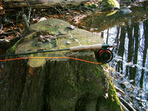 foto/diskuze/hradec_kralove_a_okoli/2012/th-img89563.jpg