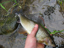 foto/diskuze/hradec_kralove_a_okoli/2012/th-img90066.jpg