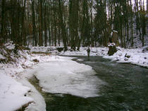 foto/diskuze/hradec_kralove_a_okoli/2012/th-img90683.jpg