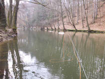 foto/diskuze/hradec_kralove_a_okoli/2013/th-img97144.jpg