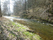 foto/diskuze/hradec_kralove_a_okoli/2013/th-img97812.jpg