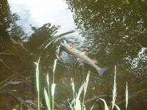 foto/diskuze/hradec_kralove_a_okoli/2013/th-img99664.jpg