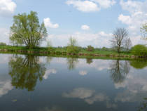 foto/diskuze/hradec_kralove_a_okoli/2014/th-img106417.jpg