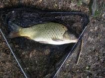 foto/diskuze/kaprarina/2010/th-img34666.jpg