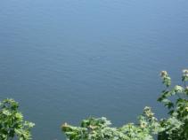 foto/diskuze/kaprarina/2010/th-img34792.jpg