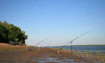 foto/diskuze/kaprarina/2011/th-img42384.jpg