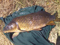 foto/diskuze/kaprarina/2011/th-img44024.jpg