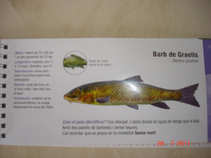 foto/diskuze/kaprarina/2011/th-img44132.jpg