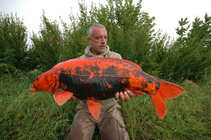 foto/diskuze/kaprarina/2012/th-img46948.jpg