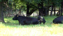 foto/diskuze/kaprarina/2012/th-img47011.jpg