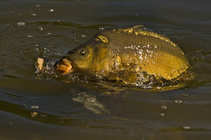 foto/diskuze/kaprarina/2012/th-img47036.jpg