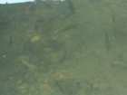 foto/diskuze/muskareni/2005/th-img1376.jpg
