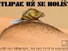 foto/diskuze/muskareni/2005/th-img3426.jpg