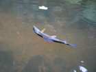 foto/diskuze/muskareni/2005/th-img6115.jpg