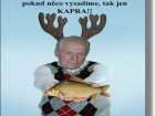 foto/diskuze/muskareni/2006/th-img10174.jpg