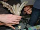 foto/diskuze/muskareni/2007/th-img10938.jpg