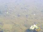 foto/diskuze/muskareni/2007/th-img12785.jpg