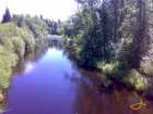 foto/diskuze/muskareni/2007/th-img13037.jpg