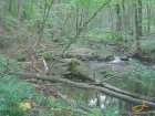 foto/diskuze/muskareni/2007/th-img13909.jpg