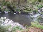 foto/diskuze/muskareni/2008/th-img18037.jpg