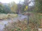 foto/diskuze/muskareni/2008/th-img20675.jpg