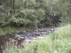 foto/diskuze/muskareni/2010/th-img32299.jpg