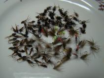 foto/diskuze/muskareni/2010/th-img32907.jpg