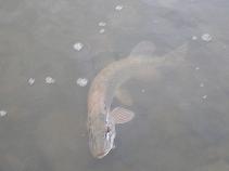 foto/diskuze/muskareni/2010/th-img34122.jpg