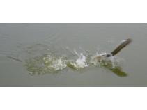 foto/diskuze/muskareni/2010/th-img35460.jpg