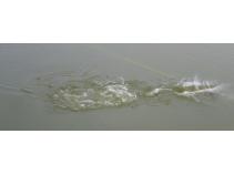 foto/diskuze/muskareni/2010/th-img35461.jpg